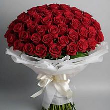 Букет 101 Красная роза Блэк Мэджик в Сылва