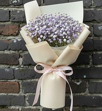 Букет цветов из:  Гипсофила в Сылва