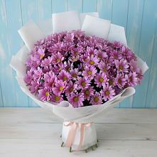 Букет цветов из:  Хризантемы в Сылва