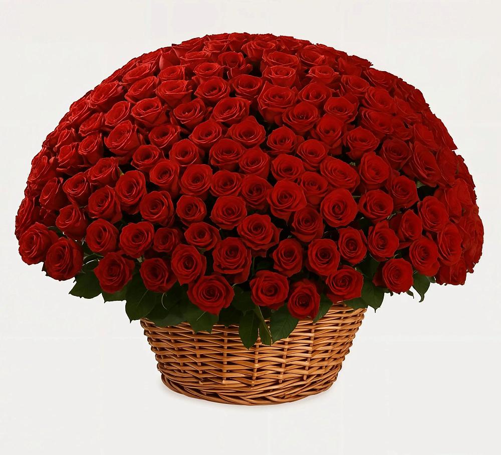 Премиум букет из: Розы в Сылва