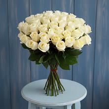 Букет 51 Белая роза Эдлесс Лав в Сылва