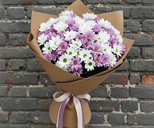 Букет цветов из:  Хризантемы #REPLACE_PRED# Сылва