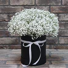 Цветочная композиция из Гипсофила в шляпной коробке #REPLACE_PRED# Сылва