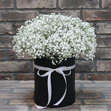 Цветочная композиция из Гипсофила в шляпной коробке в Сылва