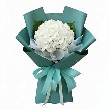 Букет цветов из:  Гортензия в Сылва